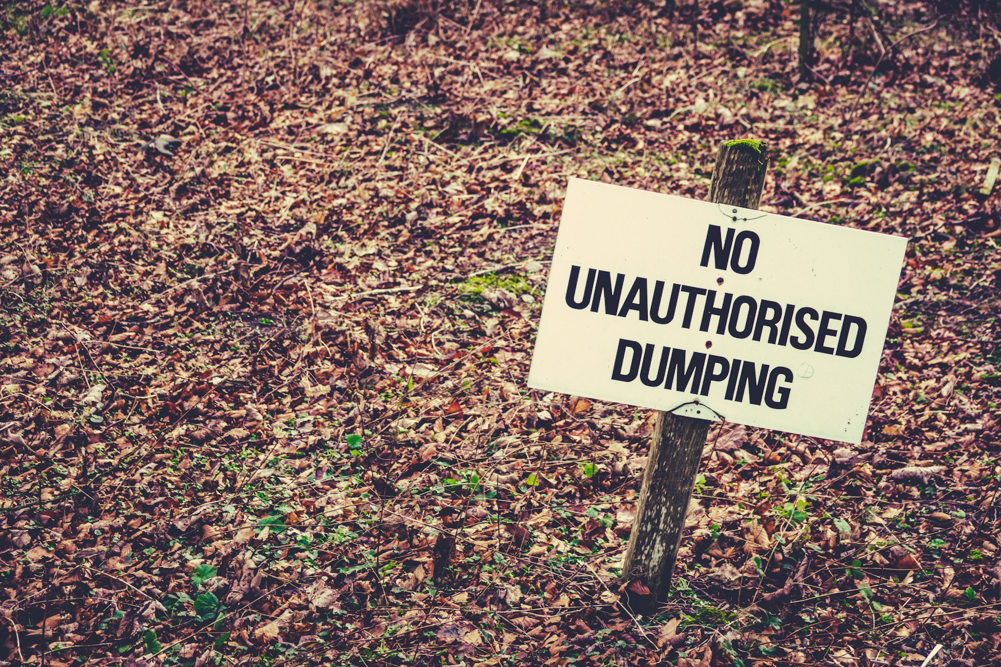 No Dumping Sign